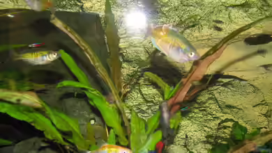 Becken 8433 von Sebastian Kettner