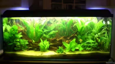 Becken 8462 von Andreas Haase