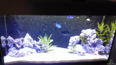 Becken 8509 von Sebastian Wolff