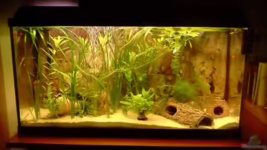 Becken 8531 von David Kousataloglou