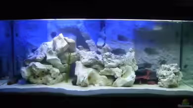 Becken 8555 von Torsten Dau