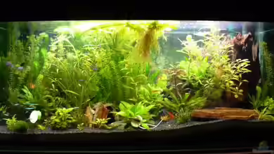 Becken 8561 von Sado-Uwe