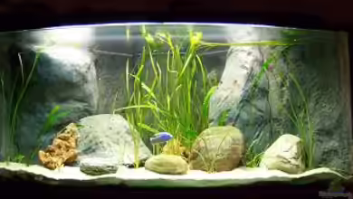 Becken 8605 von tobschen