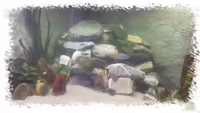 Becken 8618 von Daniela Birrer