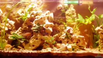 Becken 8709 von Peters Laden