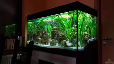 Becken 8737 von Christian Colling