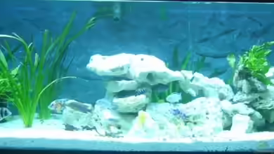 Becken 8753 von Jens Schneider