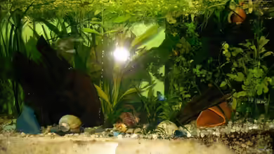 Becken 8763 von Andre Meyer