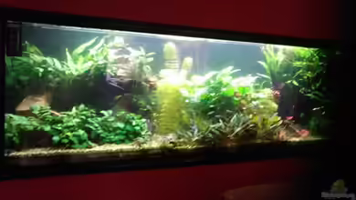 Becken 8766 von Christian Gottberg