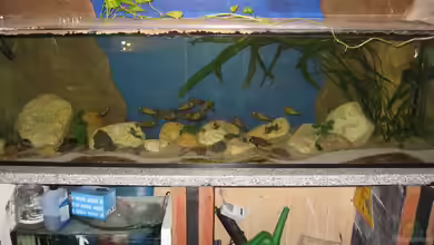 Becken 8780 von Björn Bönsch