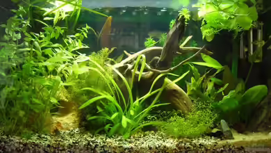 Becken 8828 von Sunnyboy_72