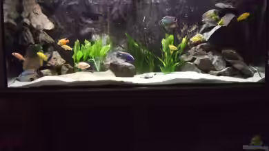 Becken 8879 von Christian Z.