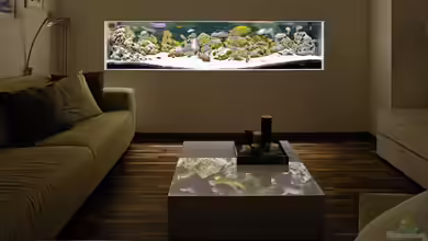 Becken 89 von Marcos Arias