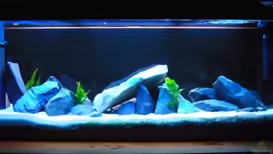 Becken 8930 von Enno