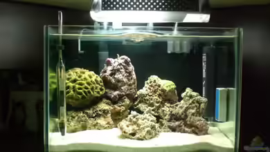 Becken 8937 von rot08