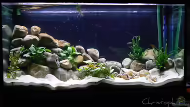 Becken 8939 von gruengold