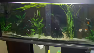 Becken 895 von Michael Eberhardt