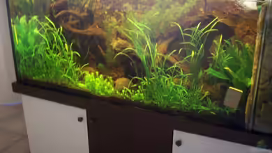 Becken 8969 von Anja Hermes