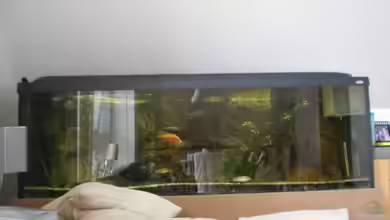 Becken 8970 von Dafi87