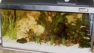 Becken 8995 von Sascha Dannenberg