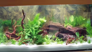 Becken 9091 von Thomas Wolfsteiner