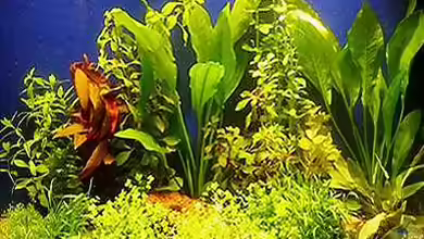 Becken 9120 von Michael Lühr