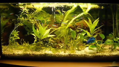 Becken 9145 von Alwin Dick