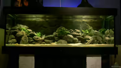 Becken 917 von Florian Ober