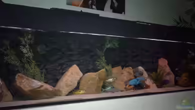 Becken 9182 von Peter Bauer