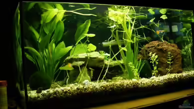 Becken 9199 von Christopher Keil