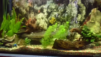 Becken 9238 von valla88