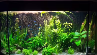 Becken 9280 von Jana_