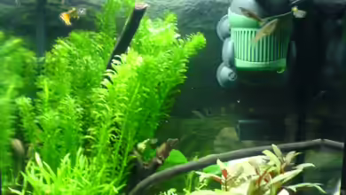 Becken 9350 von Dominik Siefert