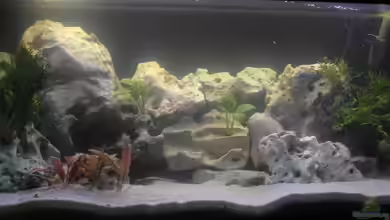 Becken 940 von Hartmut Lauterbach