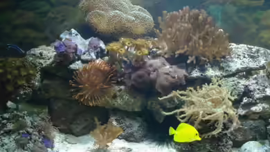 Becken 9400 von Mario Dorner