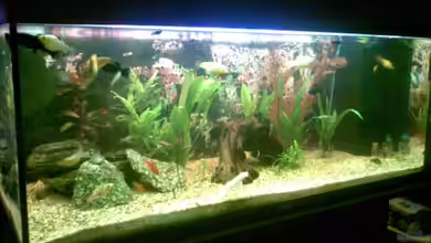 Becken 9405 von Max da Alu