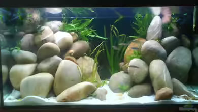 Becken 9421 von Martin Grimm