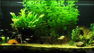 Becken 9444 von tomtirol