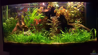 Becken 945 von Udo Siebensohn