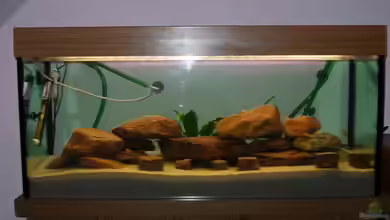 Becken 9484 von Florian Voß