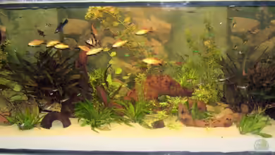 Becken 9497 von Manuela Kutschke