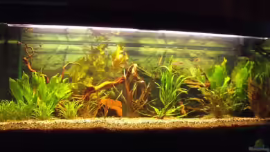 Becken 9553 von Sebastian Lehmann