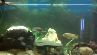 Becken 9557 von Andy01