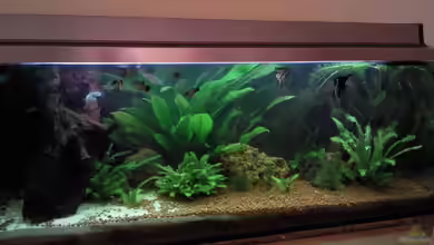 Becken 9565 von Andre Bierbaum