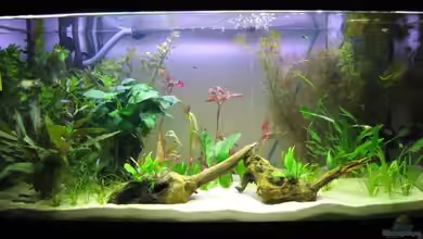 Becken 9571 von Sascha Bötzel