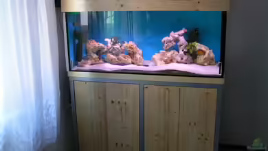 Becken 959 von Eugen Margulis