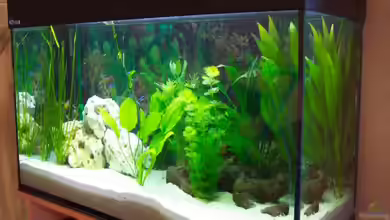 Becken 962 von Jürgen Gebhart