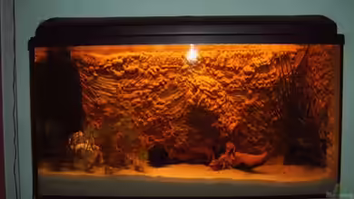 Becken 9674 von Spatz