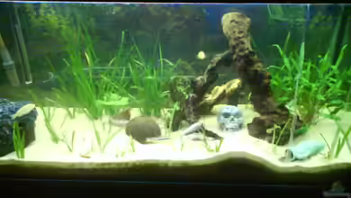 Becken 9772 von Sacha Gerwill