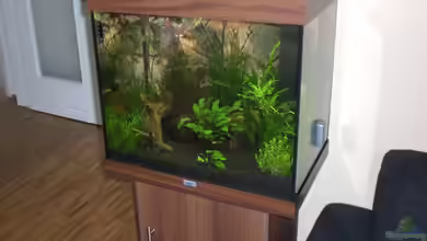 Becken 9794 von Marcel Szesny